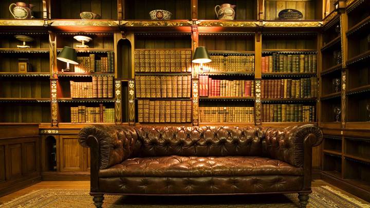 Beautiful Brown Sofa in Study Room
